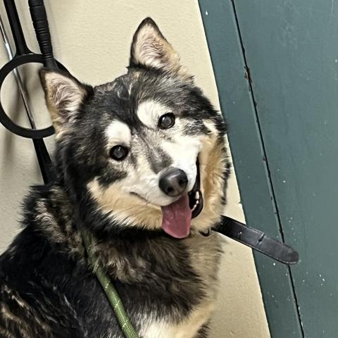 Photo for 107635 [McKinnley]