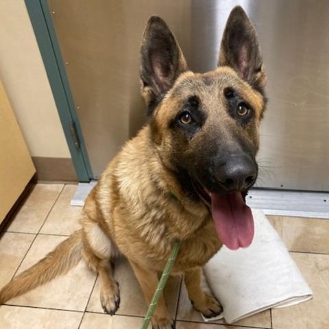 Photo for 108143 [Magnum]