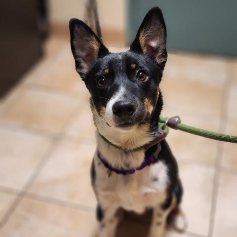 Photo for 108213 [Carson]