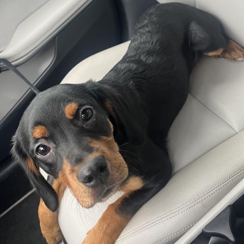 Photo for 108672 [Kahlani]