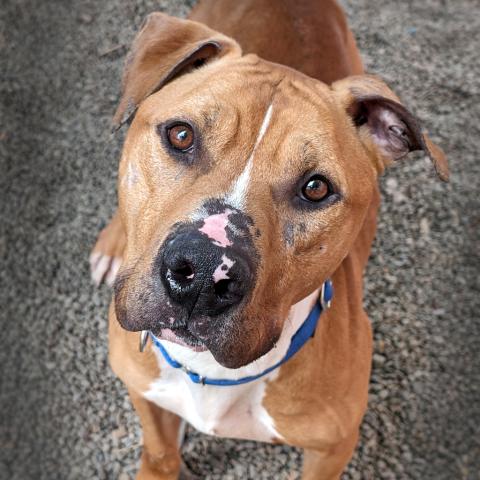 Photo for 108914 [Flik]