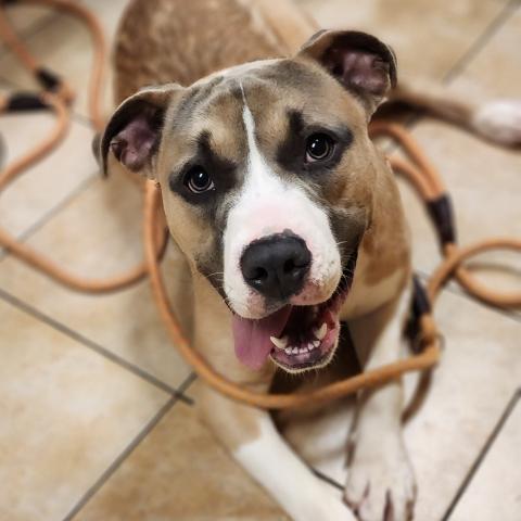 Photo for 109400 [Duncan]