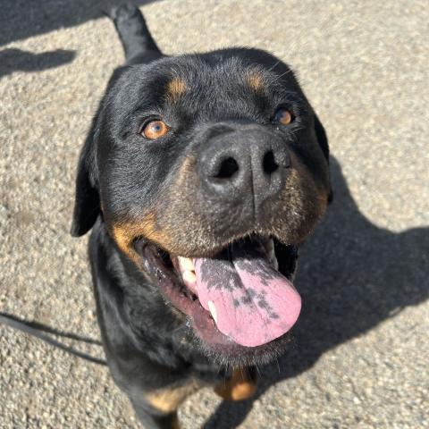 Photo for 110175 [Leroy]