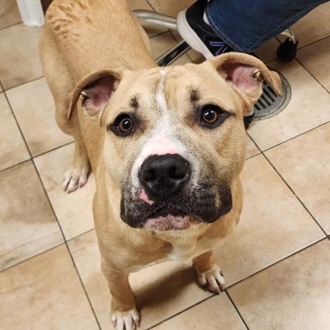 Photo for 111318 [Tate]