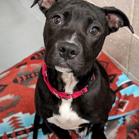 Photo for 112410 [Rebel]