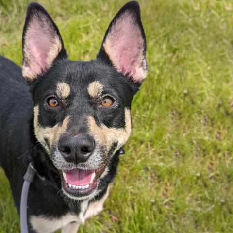 Photo for 112848 [Aleana]