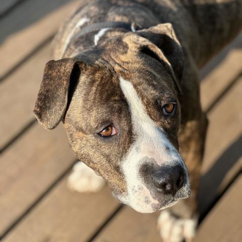 Photo for 118668 [Marge]