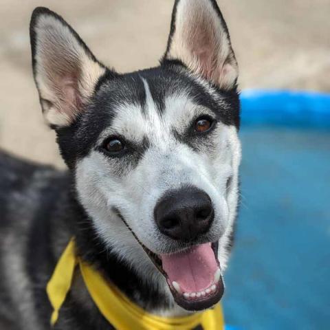 Photo for 119830 [Bizzy]