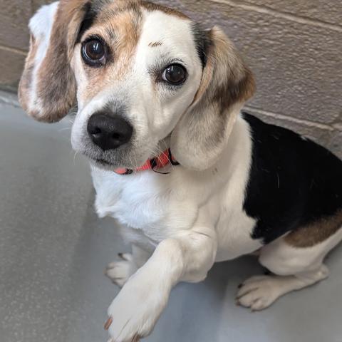 Photo for 120723 [Bailey]