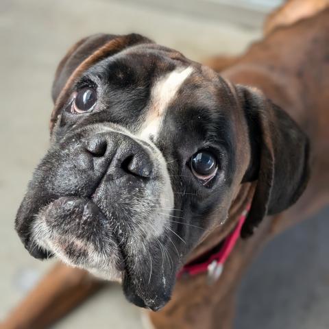 Photo for 121310 [Meeko]