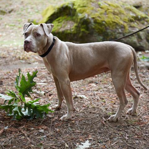 Photo for 122147 [Maisie]