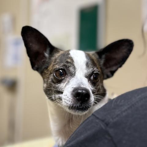 Photo for 123932 [Hartford]