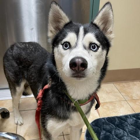 Photo for 125035 [Mirage]