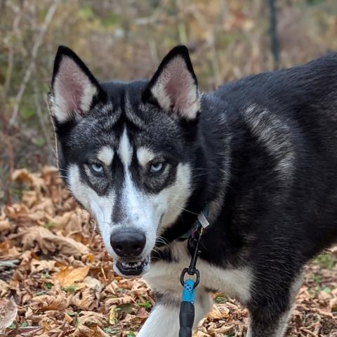 Photo for 126059 [Quavo]