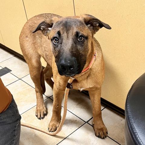 Photo for 127405 [Elowen]