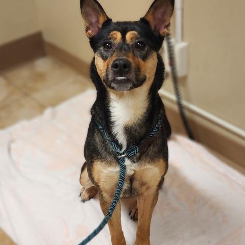 Photo for 128801 [Jenny]