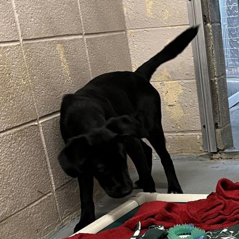 Photo for 129847 [Beautiful]