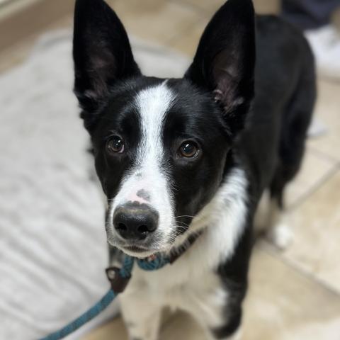 Photo for 134573 [Leelo]