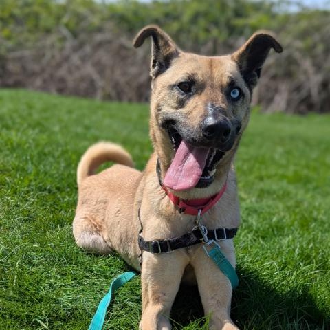 Photo for 134854 [Ghost]