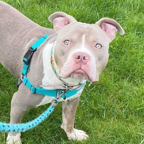 Photo for 137619 [Kroger]