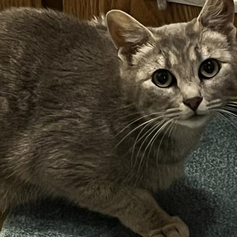 Photo for 138777 [Sterling]