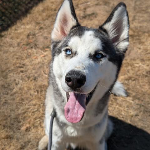 Photo for 140393 [Timber]