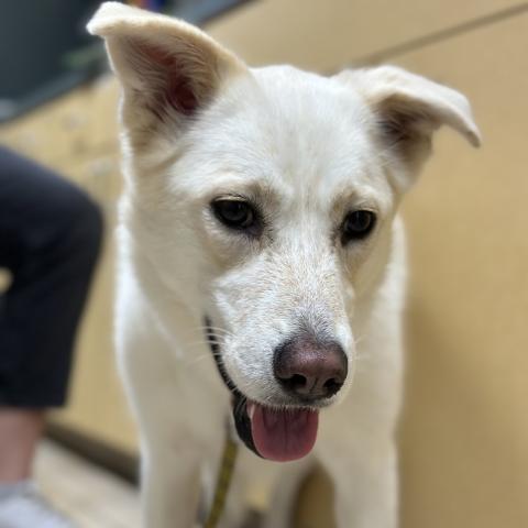 Photo for 141020 [Daisy]