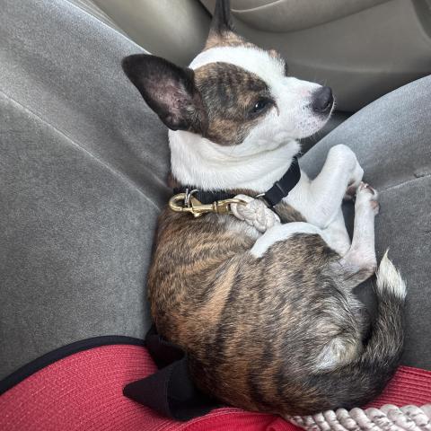 Photo for 141161 [fr141161]