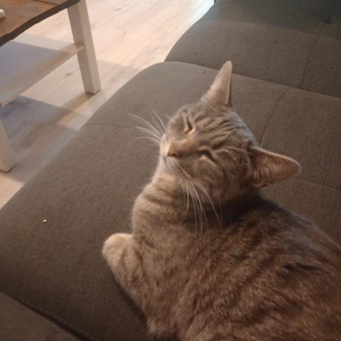 Photo for 141171 [Whitney]