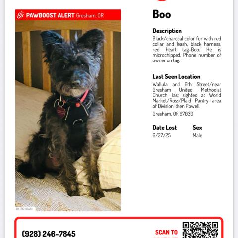 Photo for 141981 [Boo]