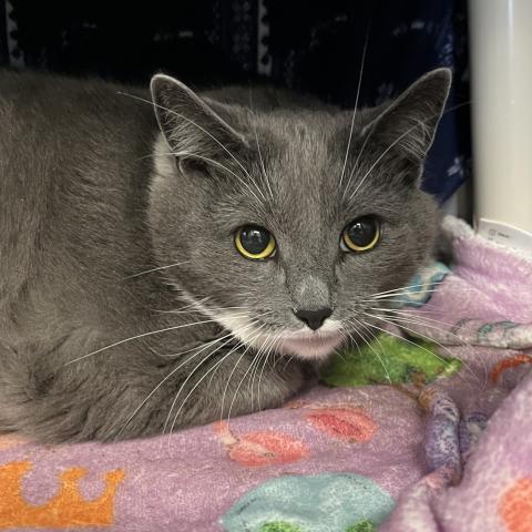 Photo for 142228 [Joseph]