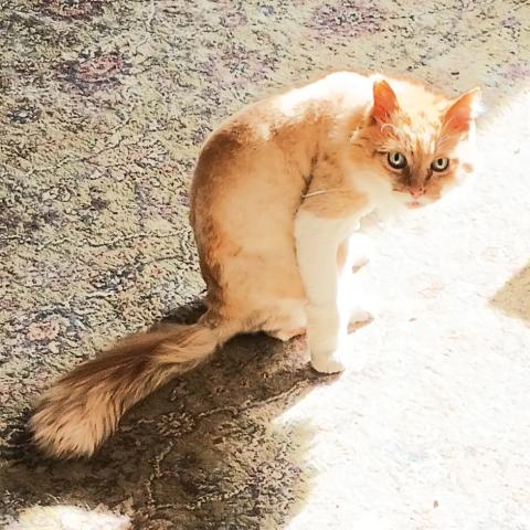 Photo for 142286 [Micha]