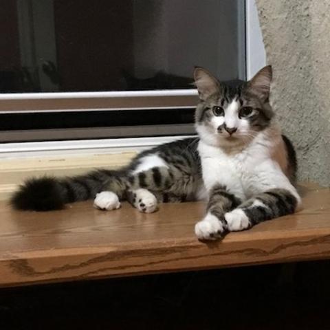 Photo for 142426 [Ronan]