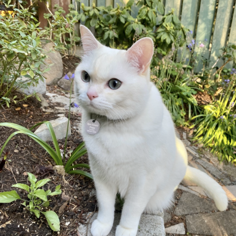 Photo for 142734 [Bjorn]