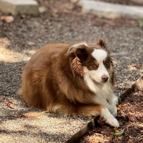 Photo for 142761 [Reese]