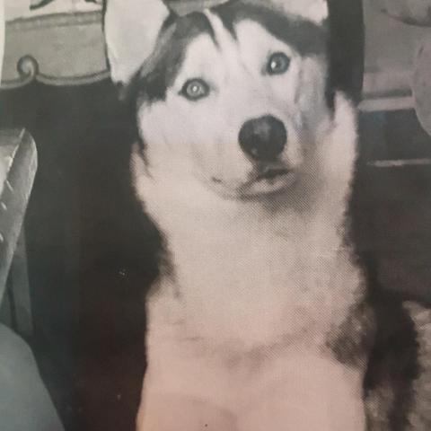 Photo for 142777 [Baby]