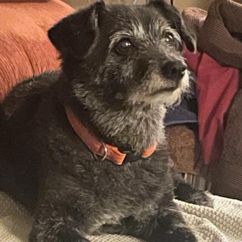 Photo for 142924 [Missy]