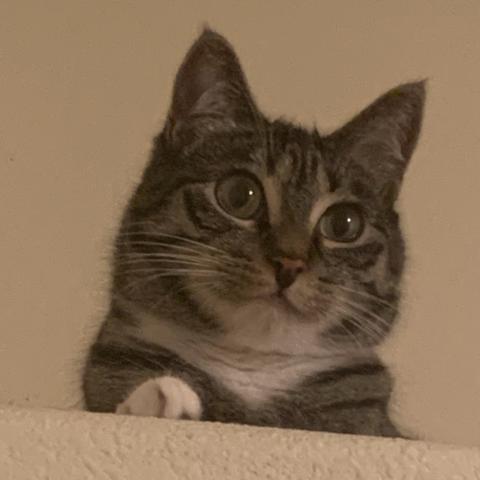 Photo for 142987 [Stormi]