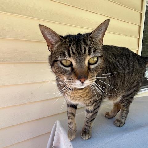 Photo for 143033 [Dinah]