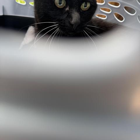 Photo for 143046 [fr143046]