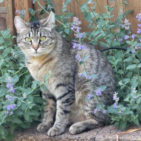 Photo for 143084 [Kay]