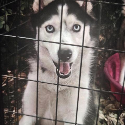 Photo for 143096 [Kara]