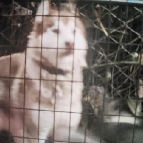 Photo for 143098 [Paxton]