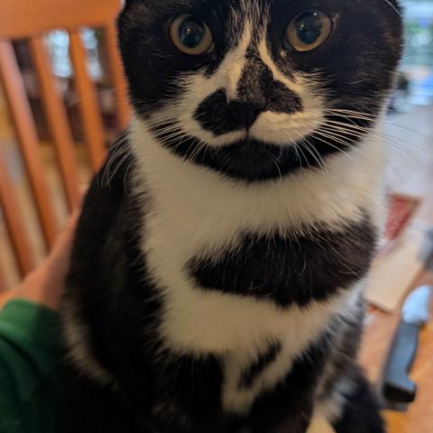 Photo for 143122 [August T]