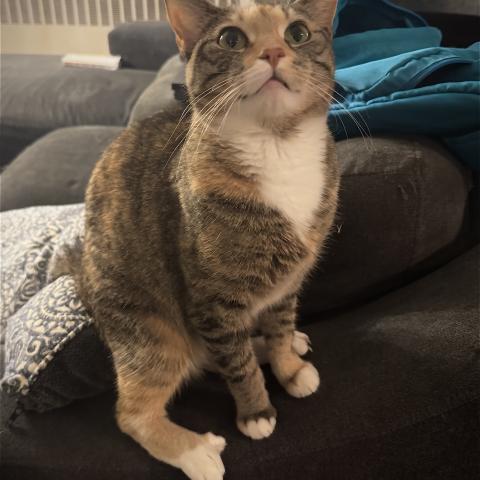 Photo for 143193 [Seven]