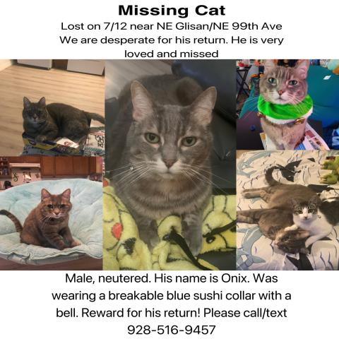 Photo for 143335 [Onix]