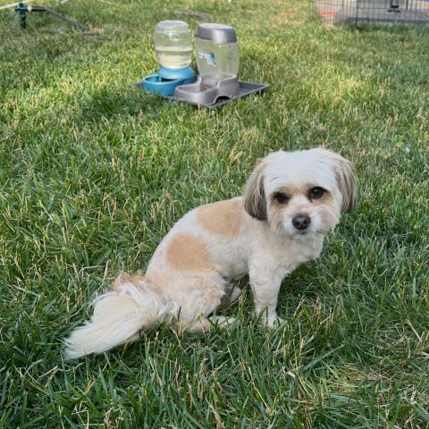 Photo for 143382 [Chiquilin]