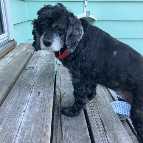 Photo for 143425 [unknown]