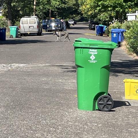 Photo for 143451 [N/a]