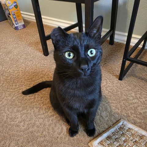 Photo for 143479 [Nice]